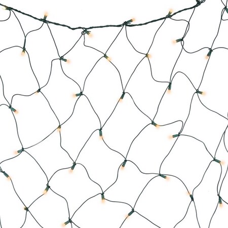 Celebrations Celebrations Orange 100 ct LED Halloween Net Lights NET100ORA